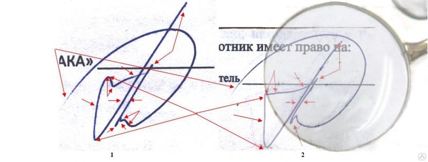 Почерковедческая экспертиза без экспериментальных образцов