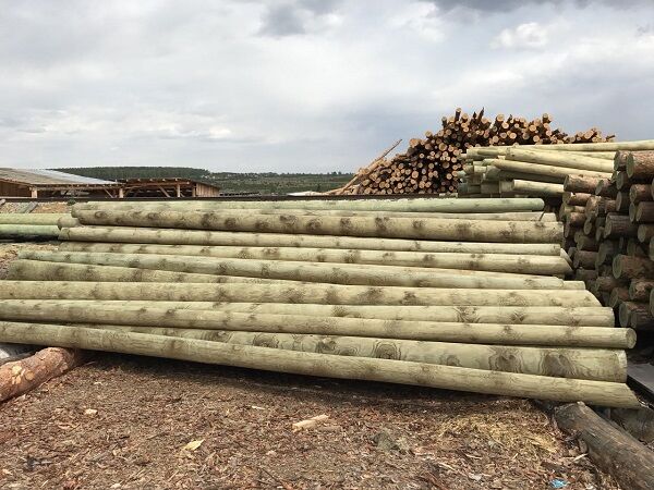 Опора ЛЭП деревянная, длина 6-11 м, срок службы до 40-45 лет
