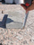 Брусчатка гранитная, тротуарная плитка из натурального камня сера 100*200*40мм (Мансуровская) пиленная, Термо #6