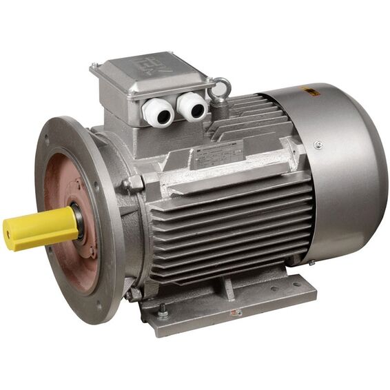 Электродвигатель АИР DRIVE 3ф 112MB6 380В 4кВт 1000об/мин 2081 ИЭК DRV112-B6-004-0-1020