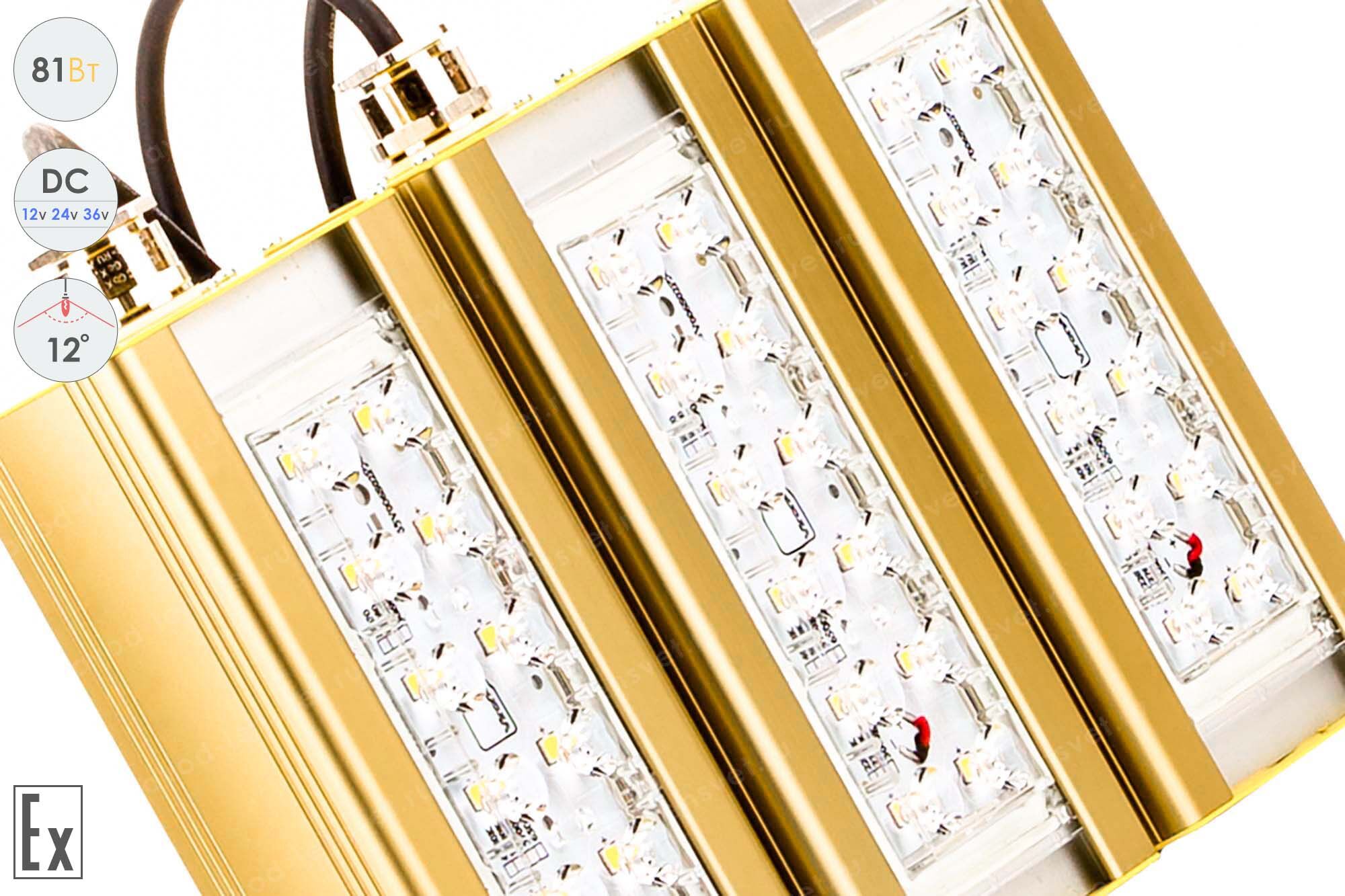 Низковольтный светодиодный светильник Прожектор Взрывозащищенный GOLD, консоль K-3 , 81 Вт, 12° 3