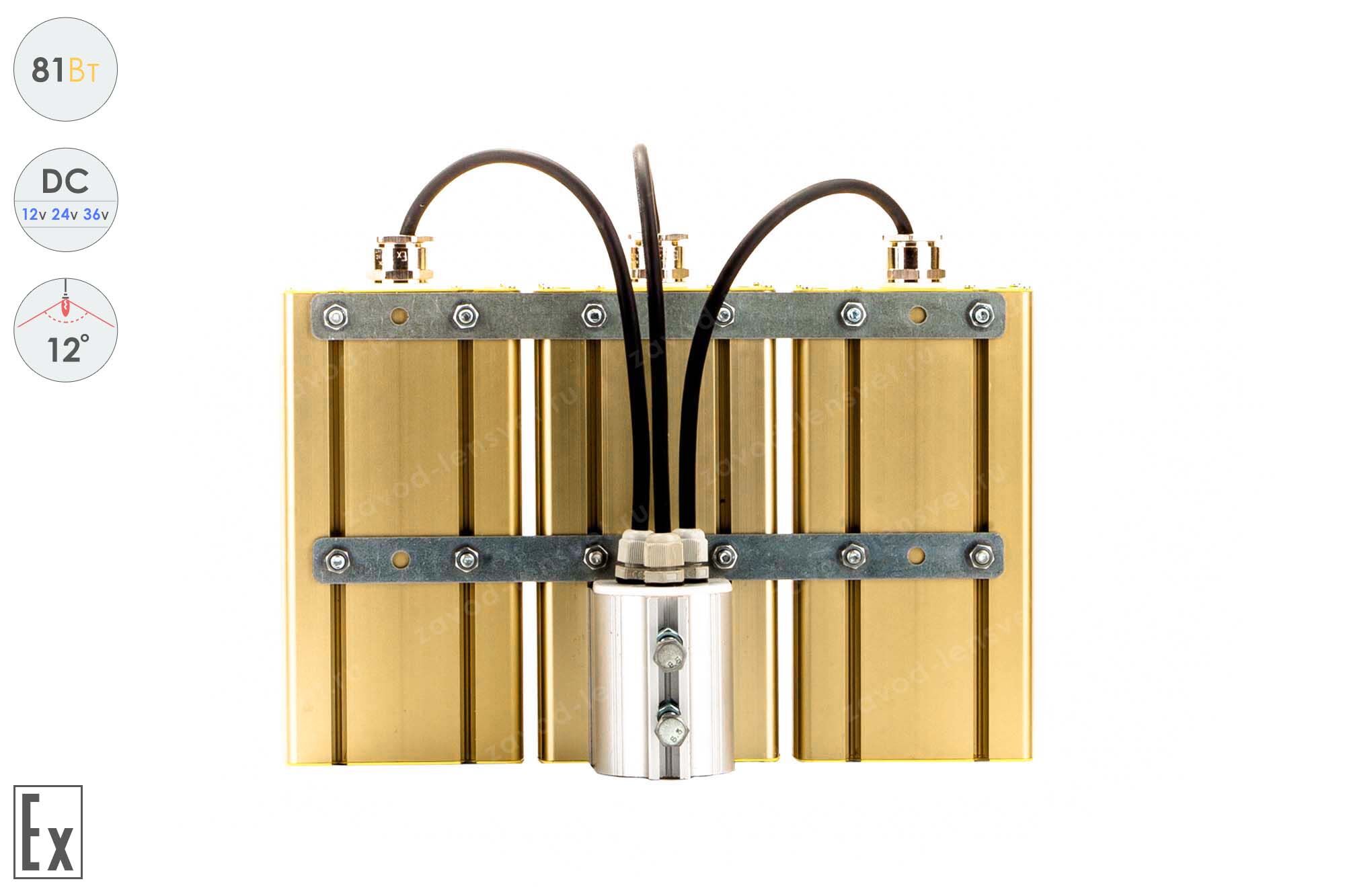 Низковольтный светодиодный светильник Прожектор Взрывозащищенный GOLD, консоль K-3 , 81 Вт, 12° 4