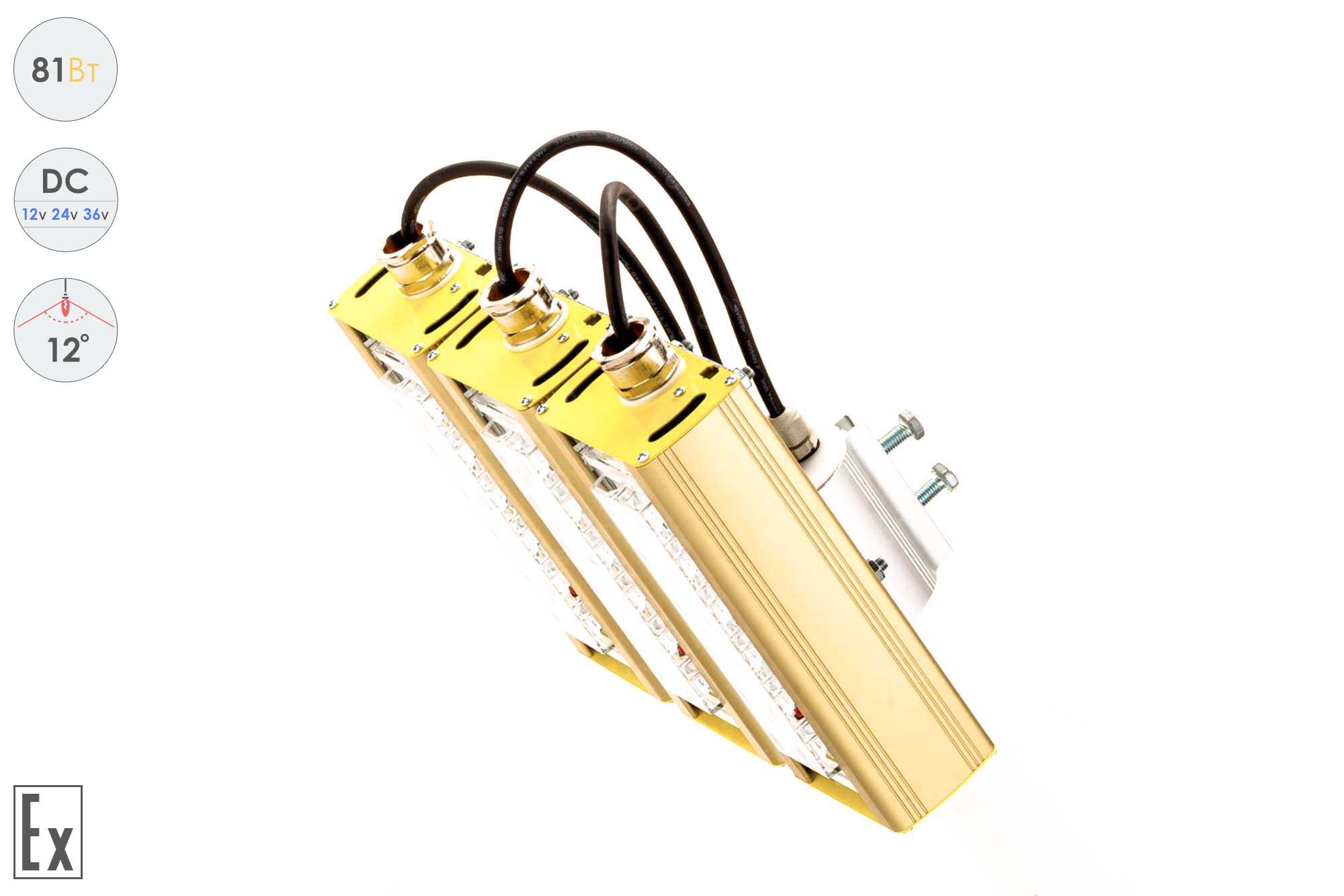Низковольтный светодиодный светильник Прожектор Взрывозащищенный GOLD, консоль K-3 , 81 Вт, 12° 5